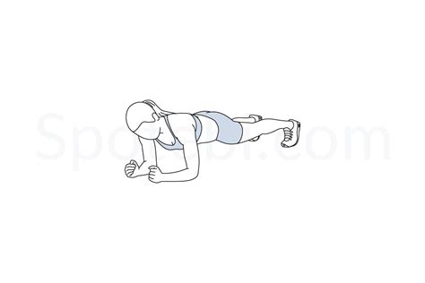 Image result for Extended Plank Exercise