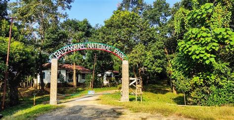 South Garo Hills: Best Attractions and Useful Travel Tips