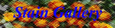 Image result for Turtle Programming Drawing