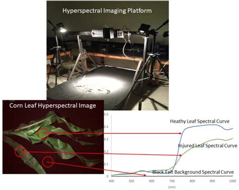 Using Machine Learning and Hyperspectral Images to Assess Damages to ...