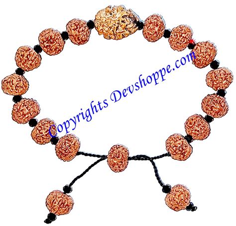 Rudraksha 7 mukhi and 2 mukhi Rudraksha combination bracelet with glas ...