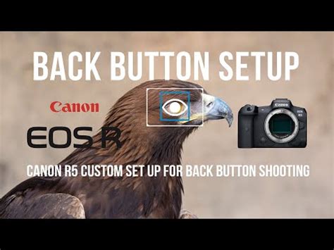 Image result for Canon R6 Back Button Tips