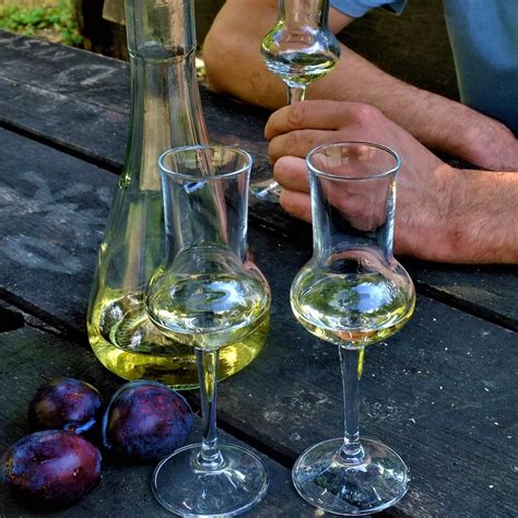 RAKIJA TOUR ZIVELI (2026) All You Need to Know BEFORE You Go (with ...