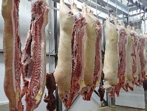 国际肉类经济 | 猪肉供给偏紧 2019年猪肉进口预计达200万吨