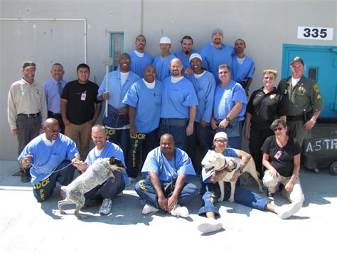 Lancaster Prison Provides Refuge for Deaf Dogs Fleeing Sand Fire | KTLA