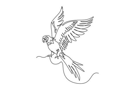 Image result for Parrot Line Drawing