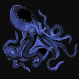 Habitat Of A Squid