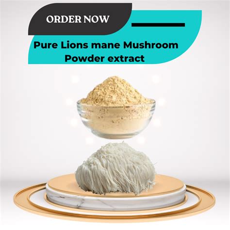Lion's Mane Mushroom Powder extract 50 gm – NEW AGRIVERSE