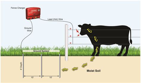 Ground My Electric Fence? - Timeless Fence System