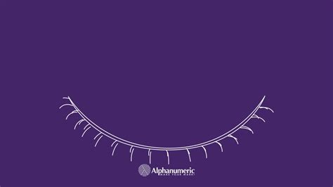 Image result for What Is Alphanumeric Data