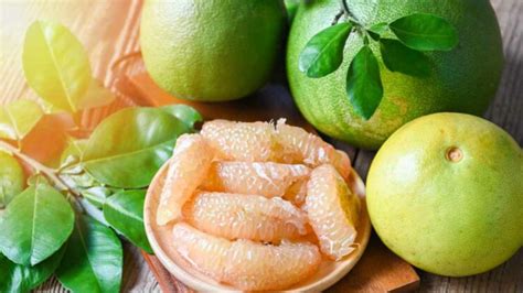 chakotha Fruit For Prevent Cancer and High Blood Sugar | ಕ್ಯಾನ್ಸರ್ ...