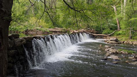 Elk Neck Campground in Elk Neck State Park, Maryland: Reviews and ...