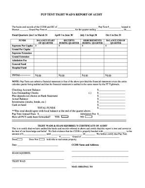Fillable Online PT Audit Report Form Fax Email Print - pdfFiller