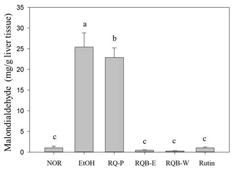 Red Quinoa Bran Extract Prevented Alcoholic Fatty Liver Disease via ...