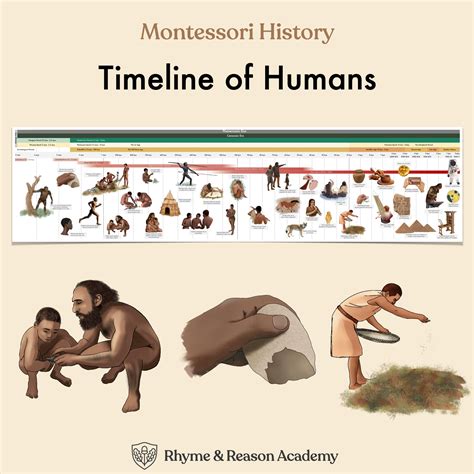 FREE Montessori Timeline Of Life Printable | FREE Printables