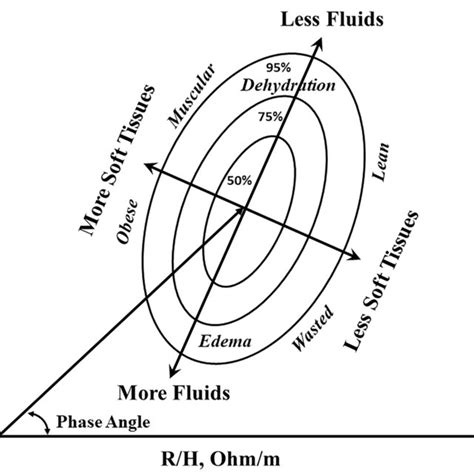 Image result for Phase Angle