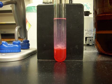 Strawberry DNA Extraction – Chemistry Demonstrations