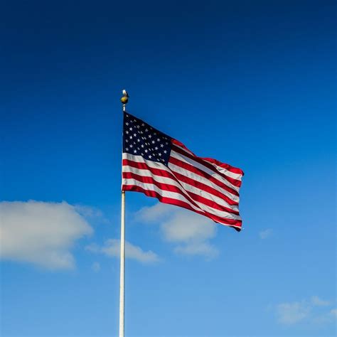 Consular Services Portal: Germany Streamlines Online Visa Applications