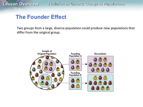 Image result for Genotype Example