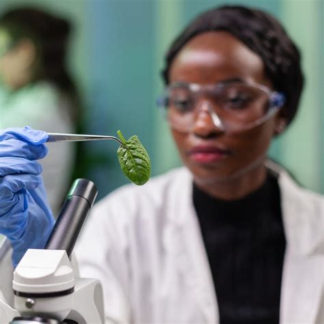PGD Biology – Nile University of Nigeria