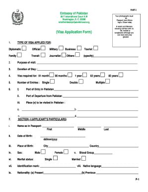 Pakistan Visa Application Form - Blank Fillable Template | Fill Out ...