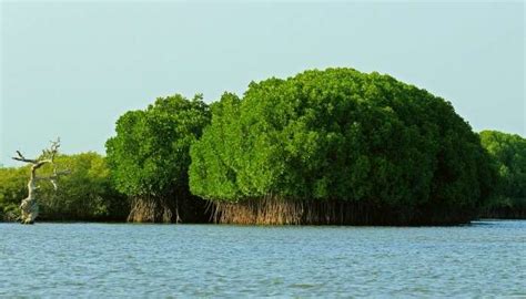 The 52 Best Places to Visit Near Chennai in 2026