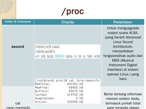 Filesystem Hierarchy Standard Explained 的图像结果