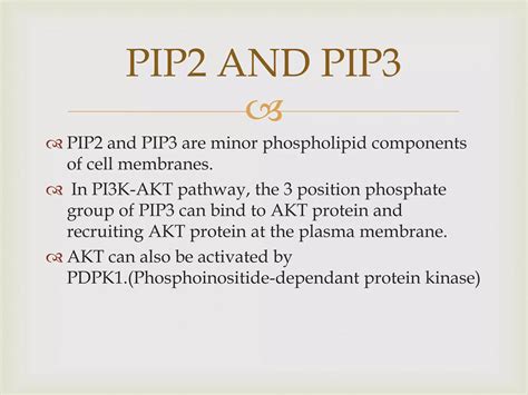 Image result for PI3K Pathway