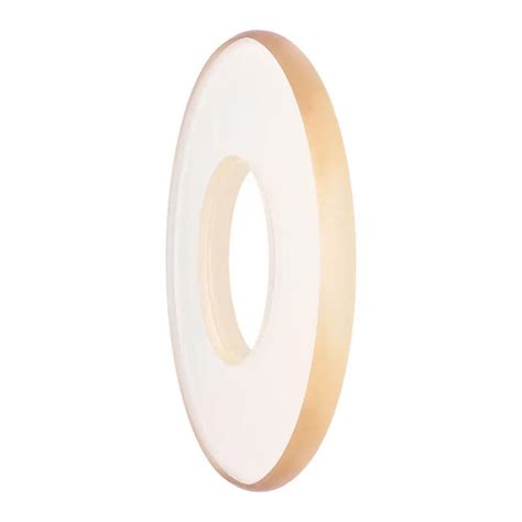 Waldent Backscatter Shield for V- Light Eco Gold DC X-Ray Machine ...