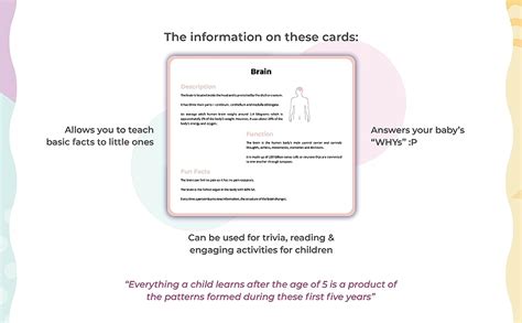 Buy Brainsmith Artboard Human Body - Educational Flashcard Set ...