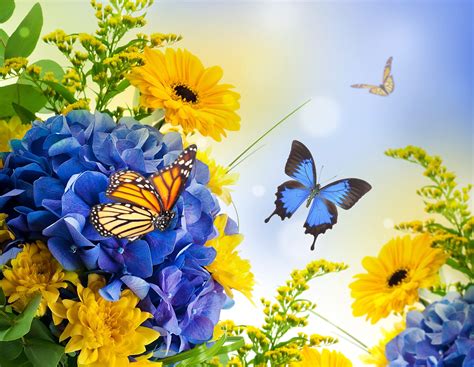 Spring Butterfly Wallpapers - Top Free Spring Butterfly Backgrounds - WallpaperAccess