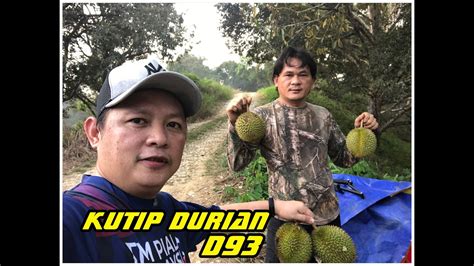 Mencari Durian D93 di Dusun - YouTube