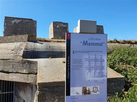 DDAY Normandy Guide - Bayeux | Tripadvisor