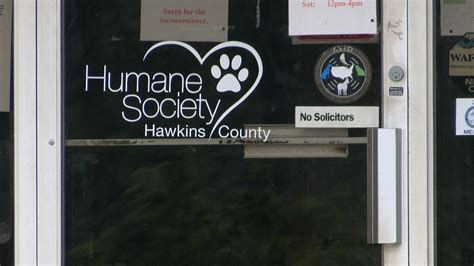 50 Hawkins County dogs rescued now up for adoption | WATE 6 On Your Side