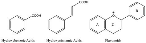 Techniques for Analysis of Plant Phenolic Compounds