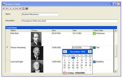 DataGrid VB.NET 的图像结果