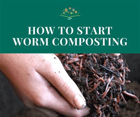 Image result for Worm Composting Tips