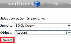 Image result for SOQL Query Using Workbench