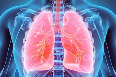 Alavi Hospitals – Best Multispecialty Hospital in IDPL