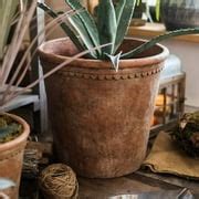 Rustic Reach Terracotta Red Concrete Planter Pot - Large India | Ubuy