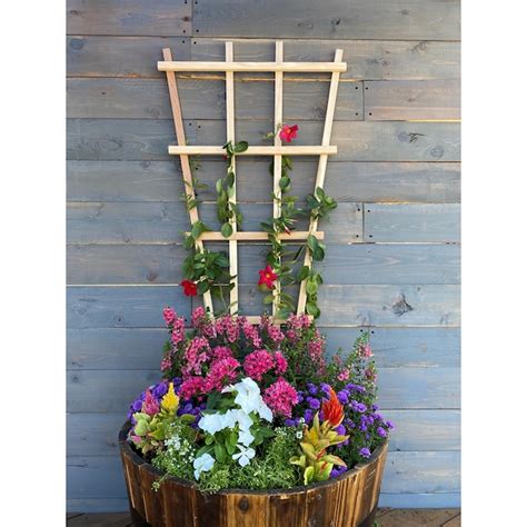 Style Selections 24-in W x 54-in H Natural Wood Cedar Garden Trellis ...