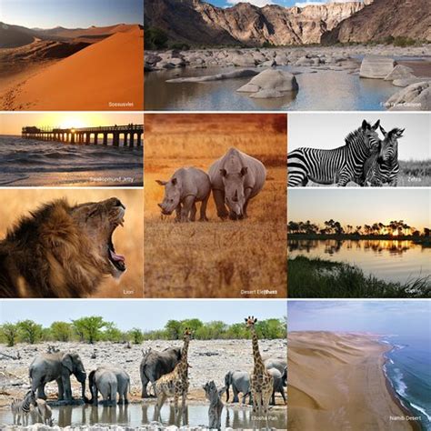 THE ART OF AFRICAN SAFARI (2026) All You Need to Know BEFORE You Go ...