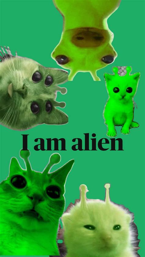 Image result for Alien Katze