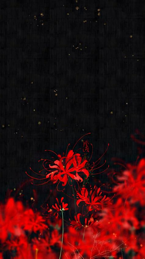 愛と 憎しみ in 2025 | Blumen hintergrund, Hintergrundbilder, Handy hintergrund