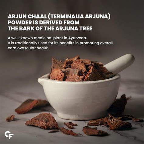 Carbamide Forte Arjun Chaal Powder-500G|100% Natural & Pure Herbal Arj