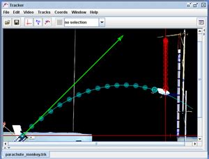 Image Analysis by Tracker Software 的图像结果