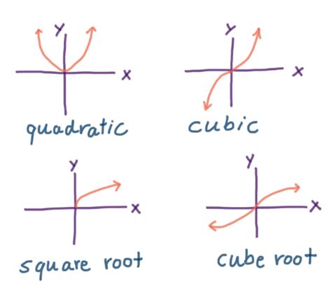 Image result for Common Function Graphs