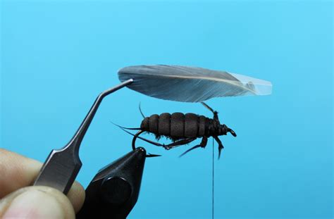 Cockroach Fly Tutorial 的图像结果