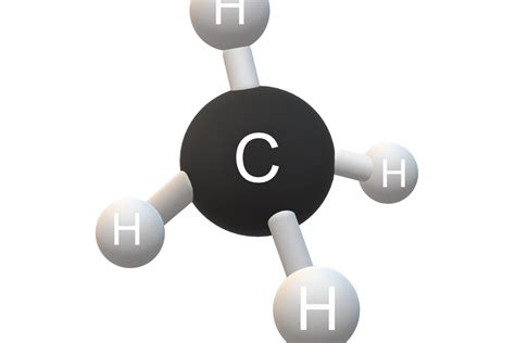 Using examples from Biology and Climate Science in a Physics classroom ...