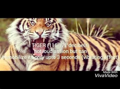 Image result for Try Open File Python